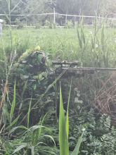 kep4
